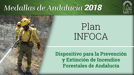 El Plan INFOCA, Medalla de Andalucía 2018