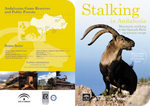 Stalking in Andalusia in pdf